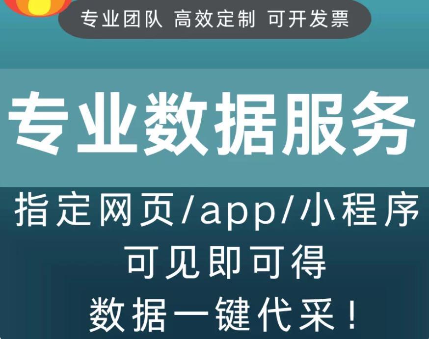 软件开发