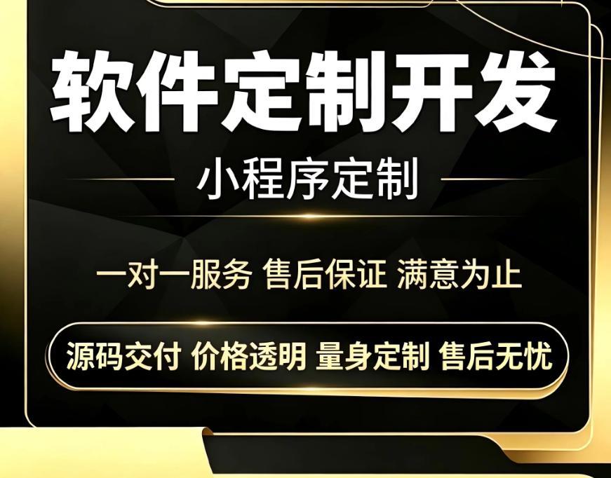 软件开发定制